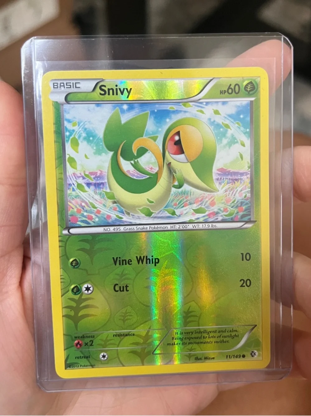 Snivy TCG Pokemon Trading Card - Reverse Holofoil Leaf pattern 11/149